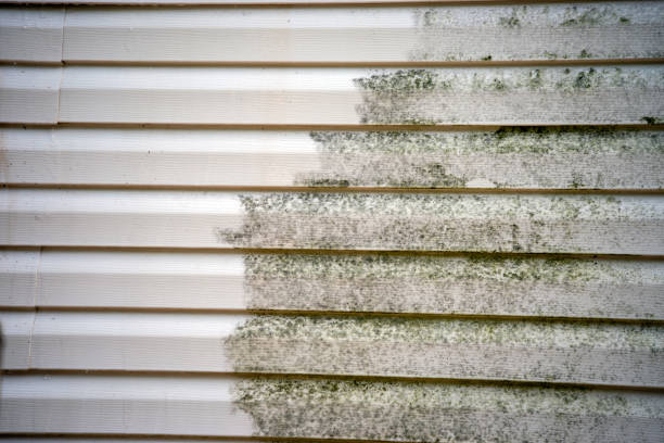 Best Moving and Downsizing Cleanouts  in Great Bend, NY